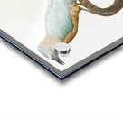 Young motmot  Impression Acrylique