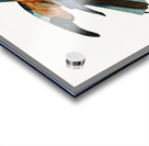 Magnificent bird of paradise female  Acrylic print