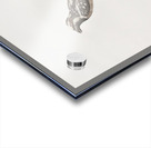 Old braeded tachuri  Acrylic print