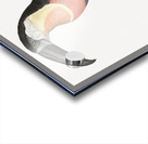 Green-billed toucan  Acrylic print