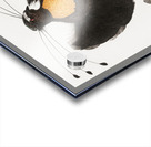 Western parotia  Acrylic print