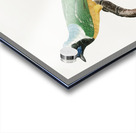 Different types of mollusks Acrylic print