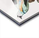 Abyssinian roller male  Acrylic print