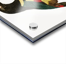 Black-necked Aracari  Acrylic print