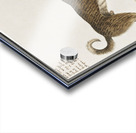 Dog in vintage style Acrylic print