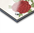 Peony and anemone in vintage style Acrylic print