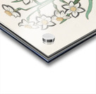 Iris in vintage style Acrylic print