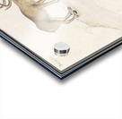 Reindeer in vintage style Acrylic print