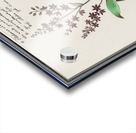 Black carrot flower Acrylic print