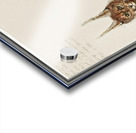 Lynx in vintage style Acrylic print