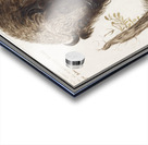 Wisent in vintage style Acrylic print