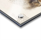 Grape hyacinth in vintage style Acrylic print