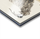 Goat in vintage style Acrylic print