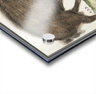 Wild boar in vintage style Acrylic print