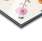 Pink flower and marigold in vintage style Acrylic print