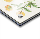 Chrysanths in vintage style Acrylic print