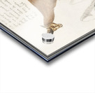 Chamois in vintage style Acrylic print