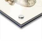 Two dogs in vintage style Acrylic print