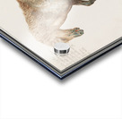 Horse in vintage style Acrylic print