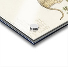 Leopard in vintage style Acrylic print