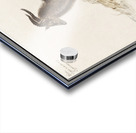 Ibex in vintage style Acrylic print