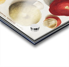 Mushrooms in vintage style Acrylic print