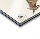 Mule in vintage style Acrylic print