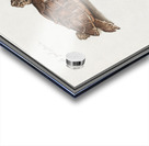 Sea turtle in vintage style Acrylic print