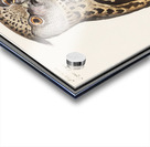 Scops owl in vintage style Acrylic print