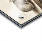 Cat in vintage style Acrylic print