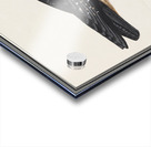 Lammergeier in vintage style Acrylic print