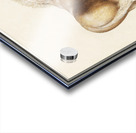 Horse in vintage style Acrylic print