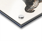 Dog in vintage style Acrylic print