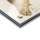 Seal in vintage style Acrylic print