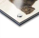 Grizzly bear in vintage style Acrylic print