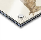 Donkey in vintage style Acrylic print