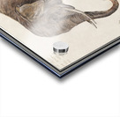 Elephant in vintage style Acrylic print