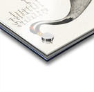 Crane in vintage style Acrylic print