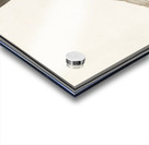 Red-footed falcon vintage style Acrylic print