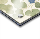 Hepatica in vintage style Acrylic print