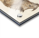 Rhinoceros in vintage style Acrylic print