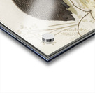 Hedgehog in vintage style Acrylic print