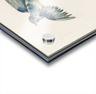 Passerines in vintage style Acrylic print