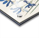 Blue iris in vintage style Acrylic print