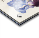 Purple iris in vintage style Acrylic print