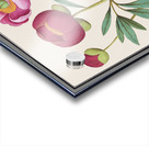 Peony in vintage style Acrylic print