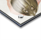 Rays in vintage style Acrylic print