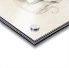 Greyhound in vintage style Acrylic print