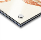 Flamingo in vintage style Acrylic print