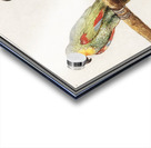 Parrots in vintage style Acrylic print